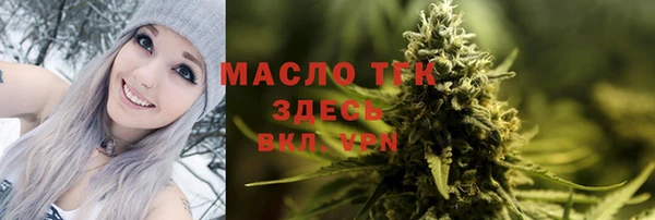 соль ск Дмитров