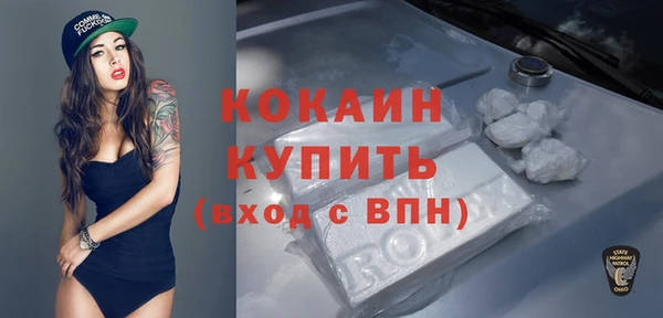 соль ск Дмитров
