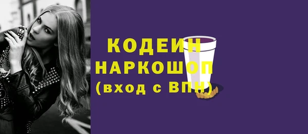 прущий лед Дмитриев