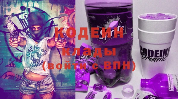 прущий лед Дмитриев