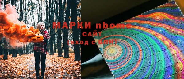прущий лед Дмитриев