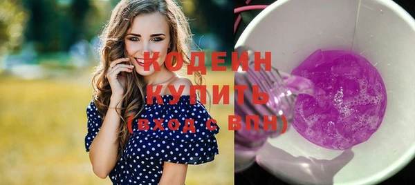прущий лед Дмитриев
