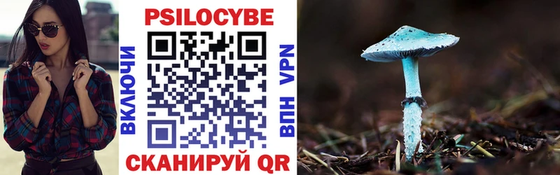 Псилоцибиновые грибы Magic Shrooms  Купить закладки  Духовщина 